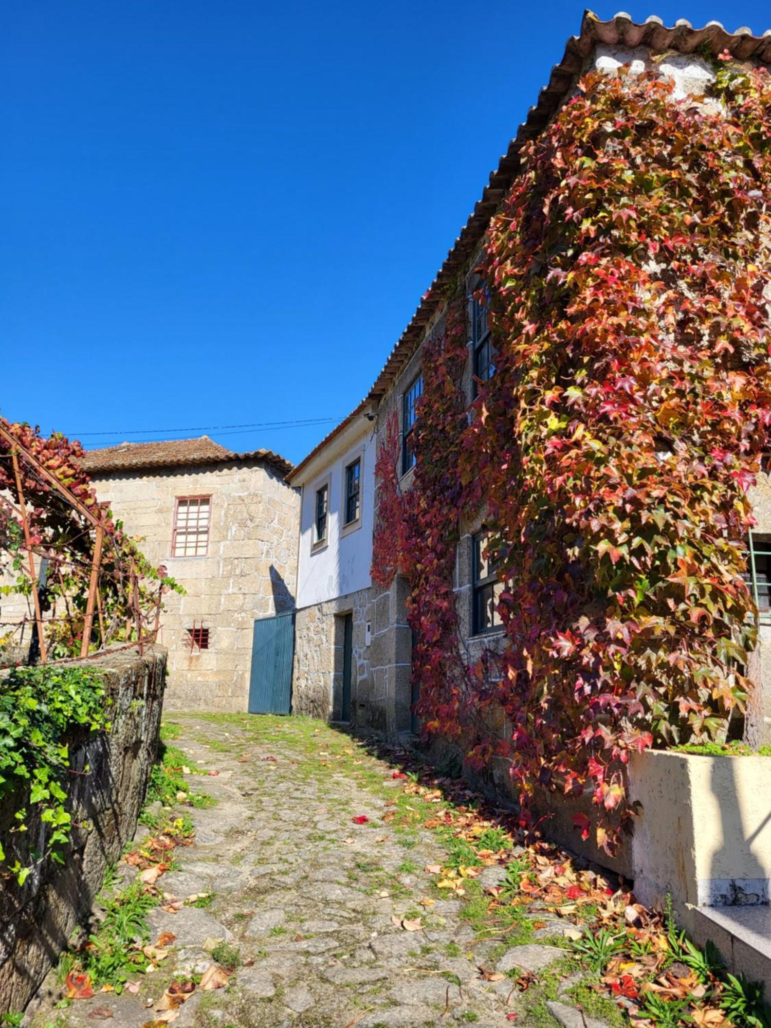 Douro Cinfaes