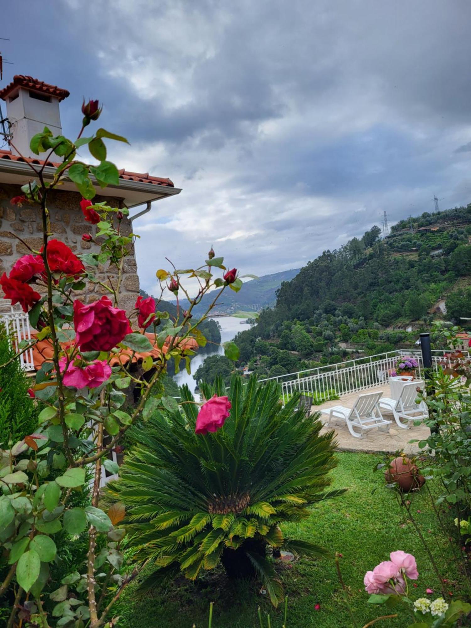 Apartment Douro