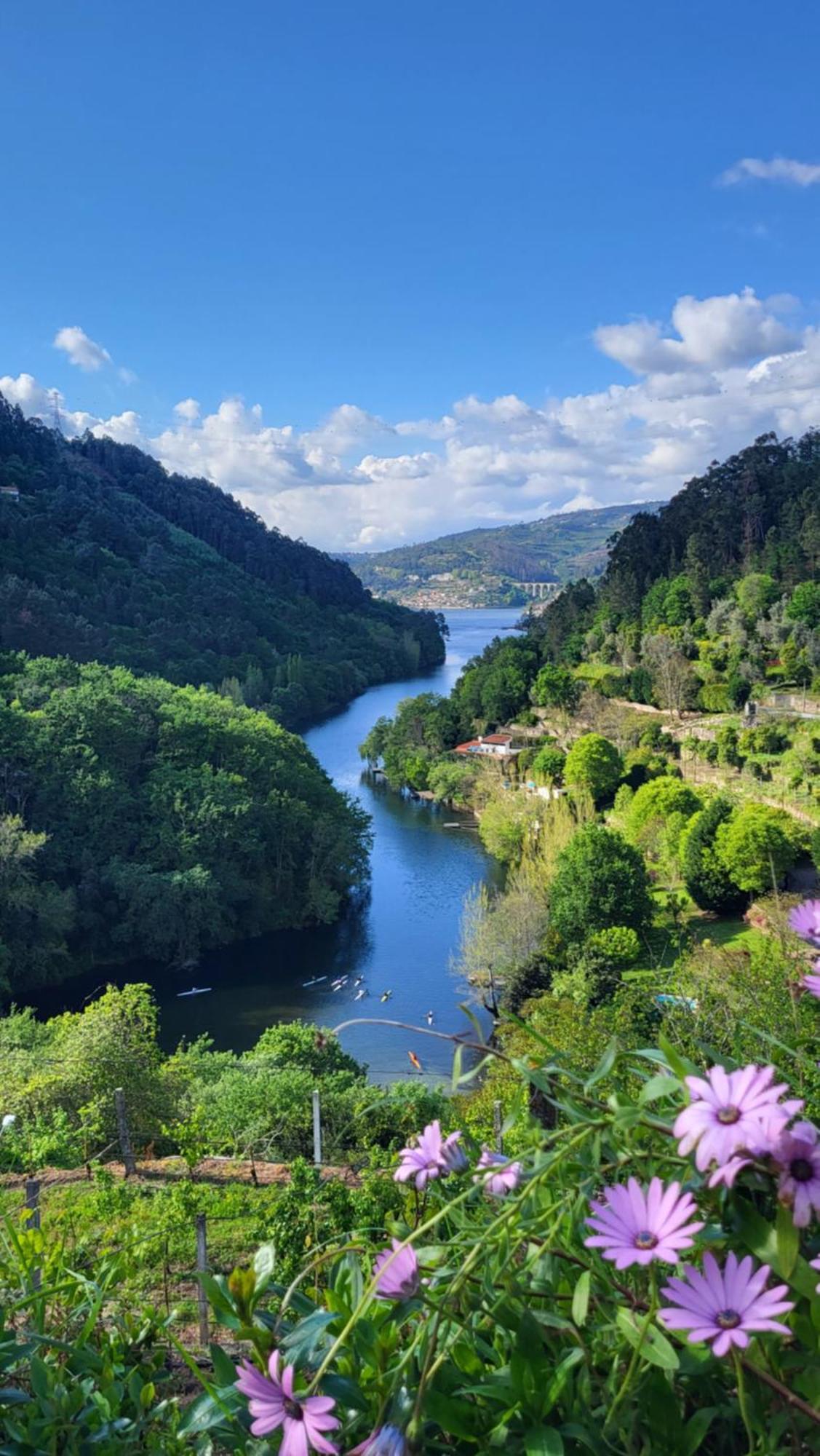 Douro * Cinfaes