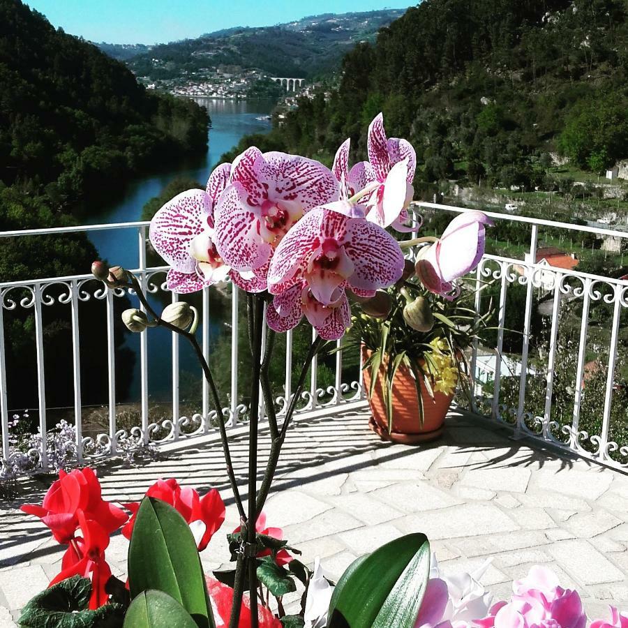 Douro Apartment
